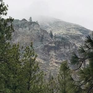 Meet your Posher, Deedee